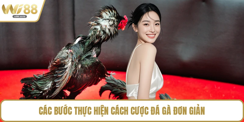 Các bước thực hiện cách cược đá gà đơn giản