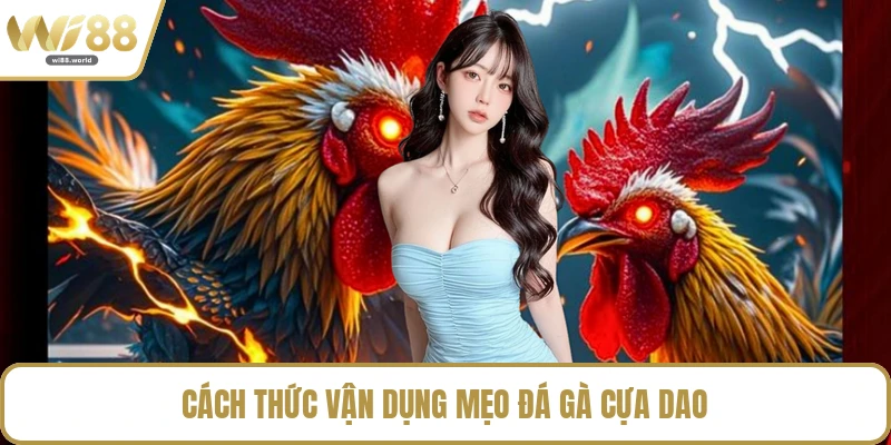 Cách thức vận dụng mẹo đá gà cựa dao