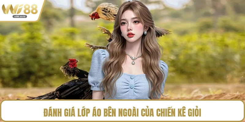 Đánh giá lớp áo bên ngoài của chiến kê giỏi