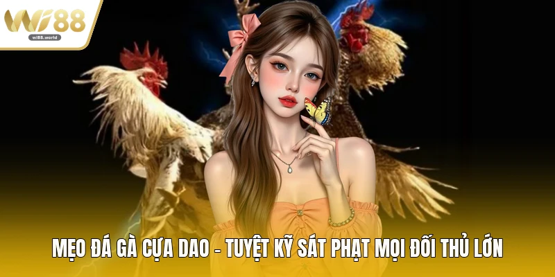 Mẹo Đá Gà Cựa Dao - Tuyệt Kỹ Sát Phạt Mọi Đối Thủ Lớn