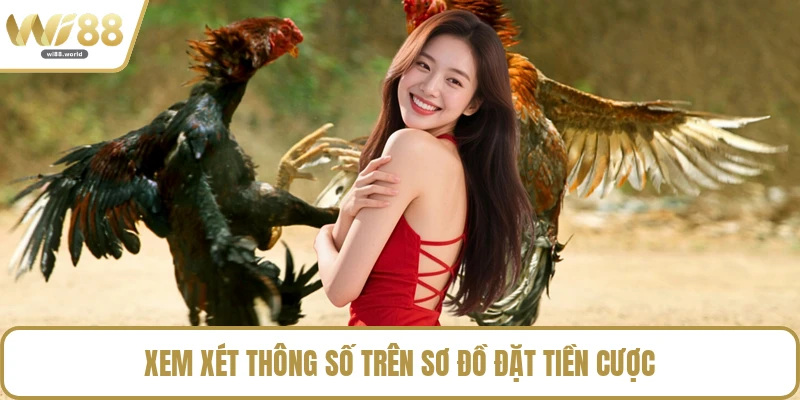 Xem xét thông số trên sơ đồ đặt tiền cược